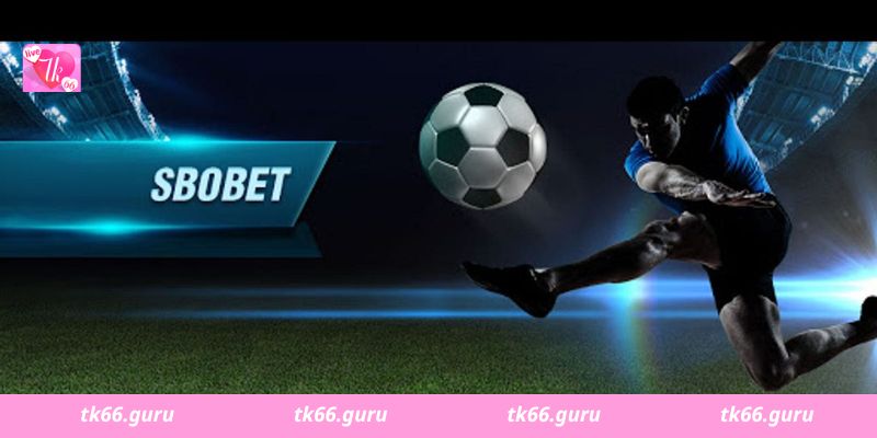 Hướng dẫn chi tiết về Sbobet Tk66